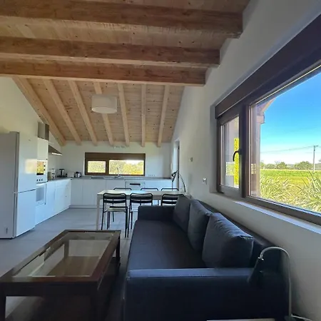 La Andina De - 33001 Holiday home